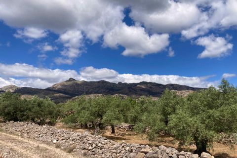 Landejendom i El Perello, Tarragona, El Perello - € 83.000 | Ref: Finca Gran Inti - foto 21